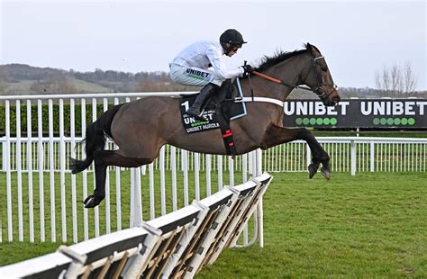 champion hurdle tips|champion hurdle news.